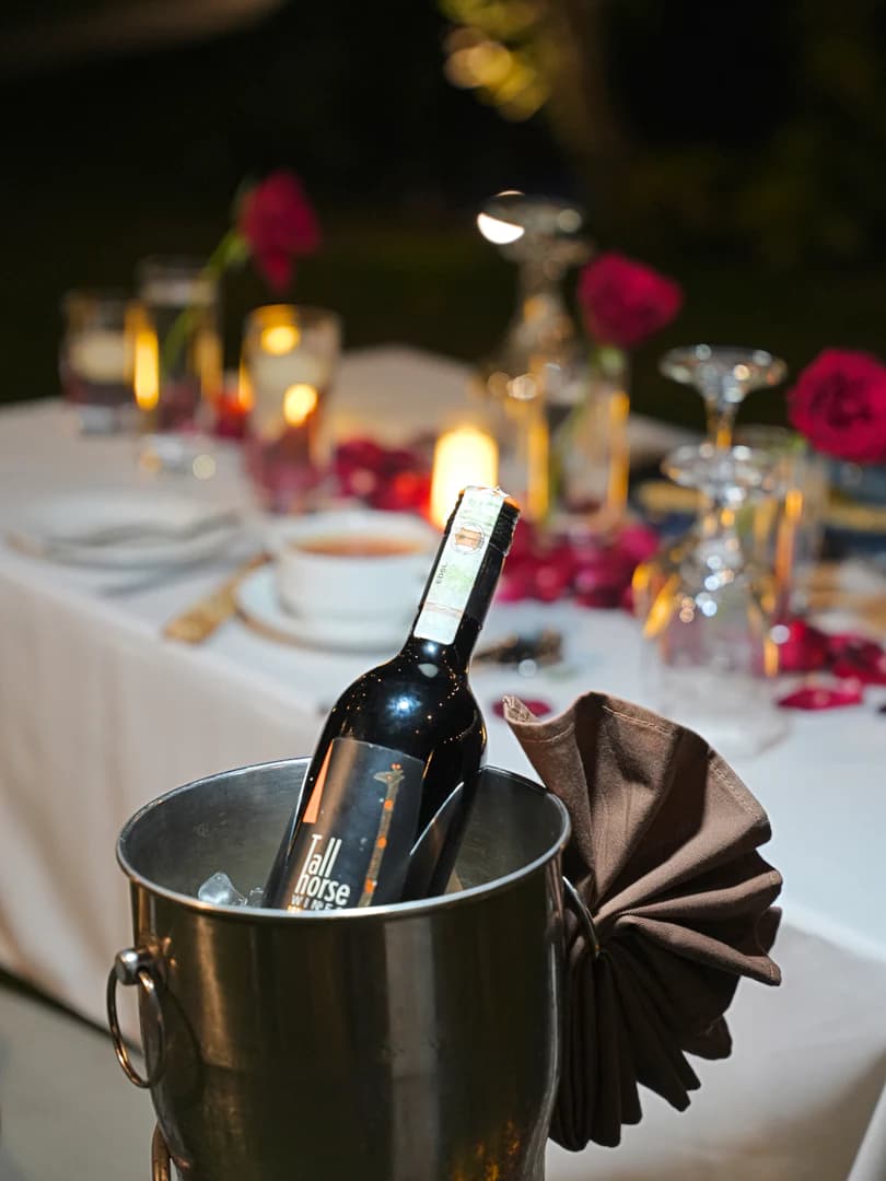 Celebration dining under the stars with sparkling atmosphere